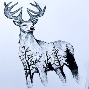 Original Forest Deer drawing by Designer and Artist @masonbuickk
